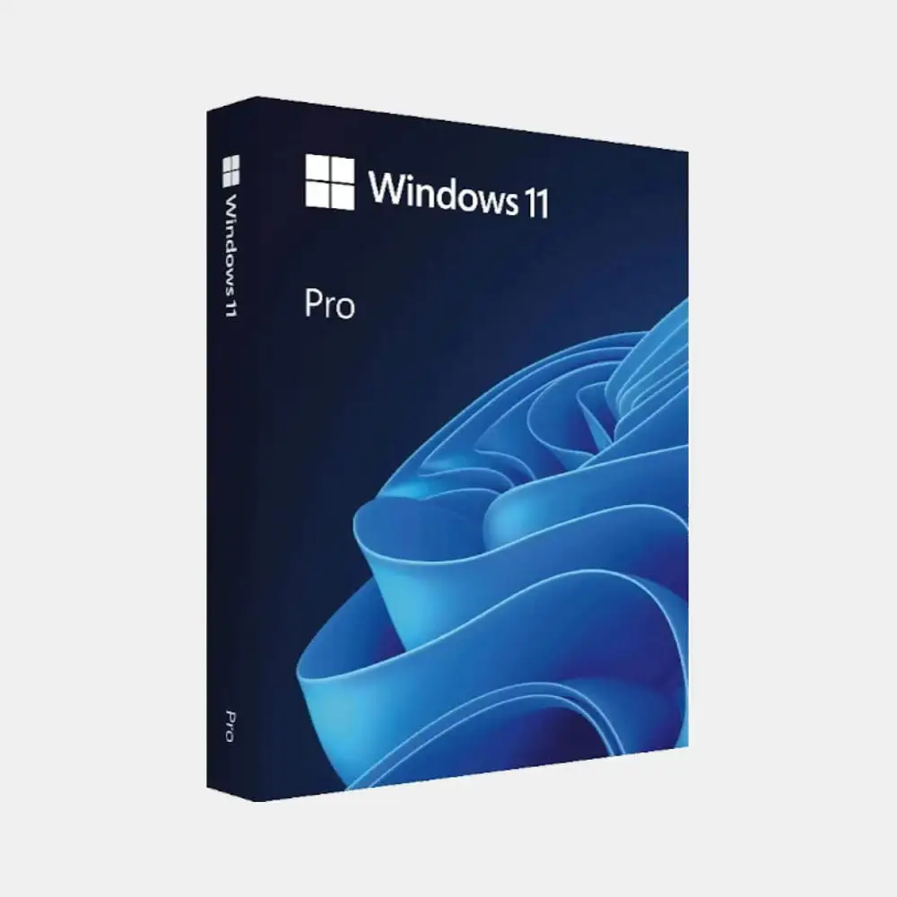 Windows 11